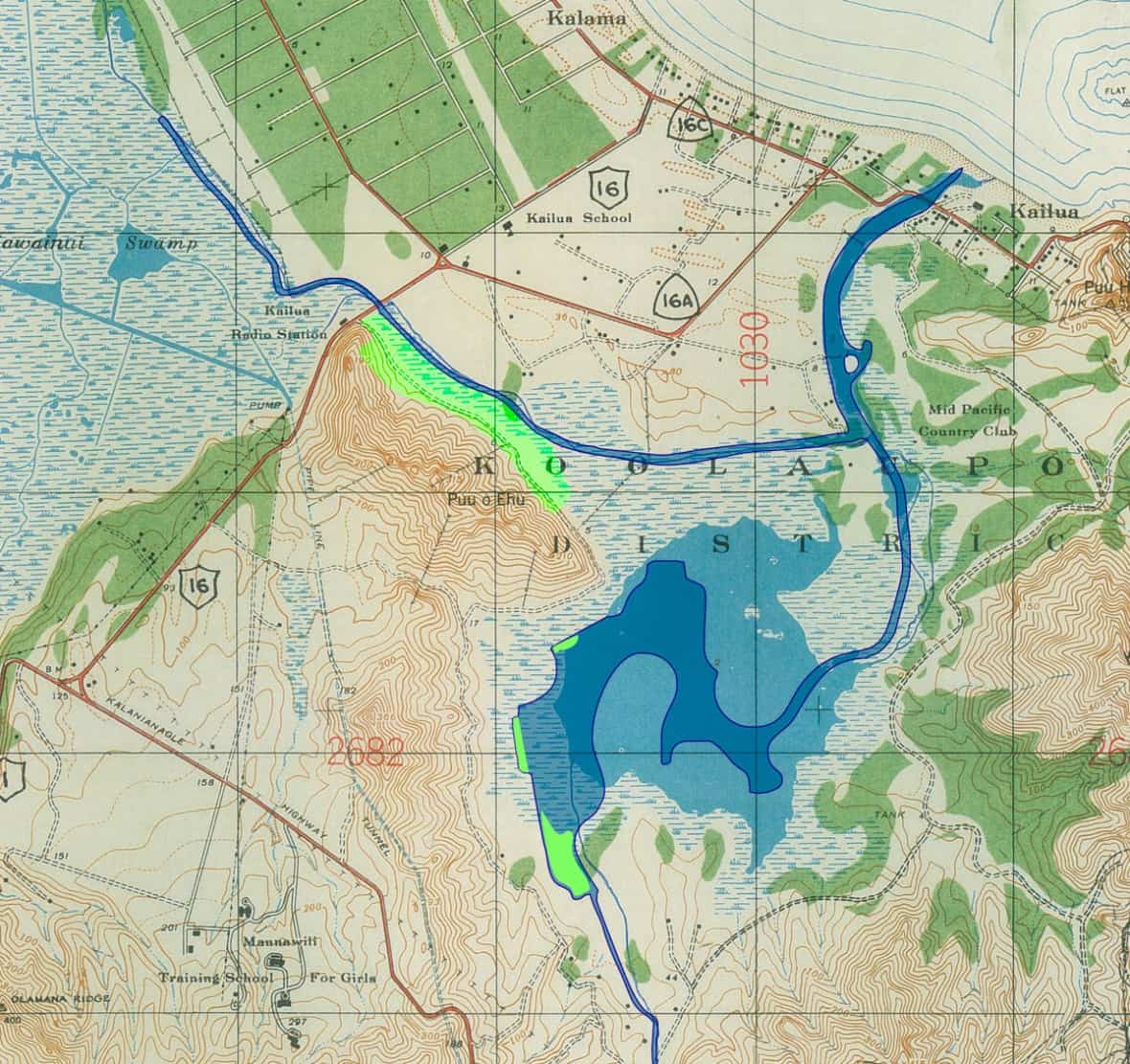 This 1943 map shows the natural extent of the pond and wetlands. The overlay in darker blue shows current pond size, and the bright green shows current wetlands.